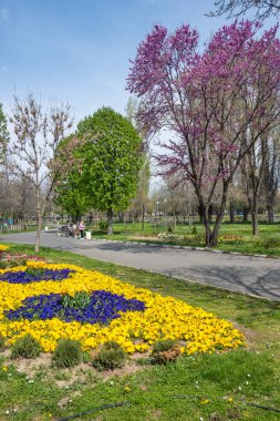 ASENOVGRAD, BULGARIA -11 Nisan 2023: Bulgaristan 'ın Filibe Bölgesi Asenovgrad kentinin merkezi