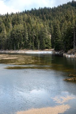 Bulgaristan 'ın Beglika Reservoir, Pazardzhik bölgesinin muhteşem manzarası