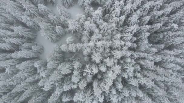 ブルガリア ベルメケンダム近くのリラ山の素晴らしい航空冬の景色 — ストック動画