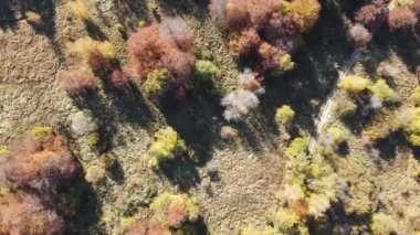 Bulgaristan 'ın Vitosha Dağı' nın İnanılmaz Sonbaharı