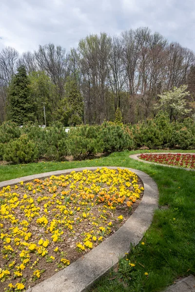 stock image Amazing Spring flowers at South Park in city of Sofia, Bulgaria