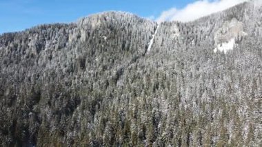 Aerial winter view of Rhodope Mountains around resort of Pamporovo, Smolyan Region, Bulgaria