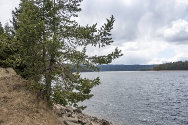 Golyam Beglik Reservoir, Pazardzhik Region, Bulgaristan 'ın bahar manzarası