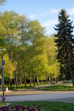 SOFYA, BULGARIA - 30 Nisan 2023: Bulgaristan 'ın Sofya kentindeki South Park' ın şaşırtıcı Sunset Manzarası