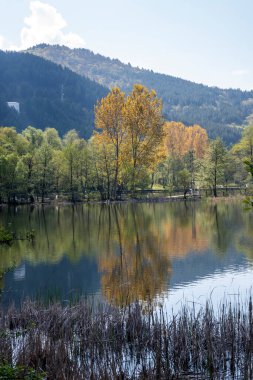 Pancharevo Gölü Bahar Manzarası, Sofya Şehir Bölgesi, Bulgaristan