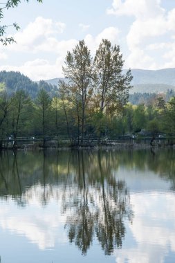 Pancharevo Gölü Bahar Manzarası, Sofya Şehir Bölgesi, Bulgaristan