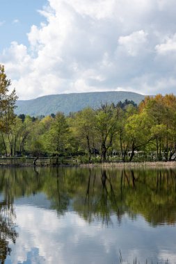 Pancharevo Gölü Bahar Manzarası, Sofya Şehir Bölgesi, Bulgaristan