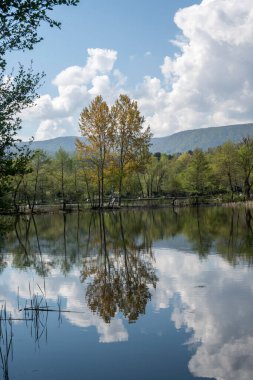 Pancharevo Gölü Bahar Manzarası, Sofya Şehir Bölgesi, Bulgaristan