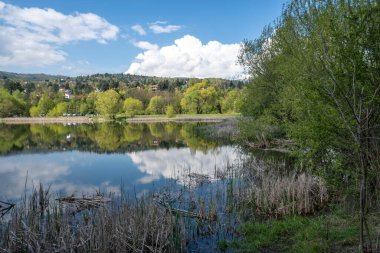 Pancharevo Gölü Bahar Manzarası, Sofya Şehir Bölgesi, Bulgaristan