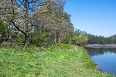 Pancharevo Gölü Bahar Manzarası, Sofya Şehir Bölgesi, Bulgaristan