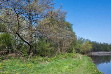 Pancharevo Gölü Bahar Manzarası, Sofya Şehir Bölgesi, Bulgaristan