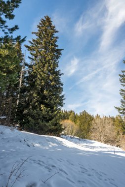 Vitosha Dağı 'nın kış manzarası, Sofya Şehir Bölgesi, Bulgaristan