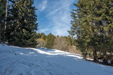 Vitosha Dağı 'nın kış manzarası, Sofya Şehir Bölgesi, Bulgaristan