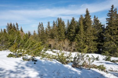 Vitosha Dağı 'nın kış manzarası, Sofya Şehir Bölgesi, Bulgaristan