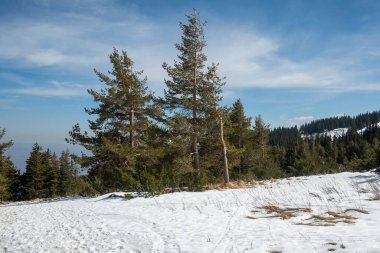 Vitosha Dağı 'nın kış manzarası, Sofya Şehir Bölgesi, Bulgaristan