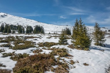 Vitosha Dağı 'nın kış manzarası, Sofya Şehir Bölgesi, Bulgaristan