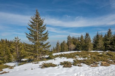 Vitosha Dağı 'nın kış manzarası, Sofya Şehir Bölgesi, Bulgaristan