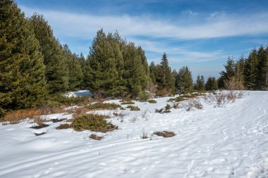 Vitosha Dağı 'nın kış manzarası, Sofya Şehir Bölgesi, Bulgaristan