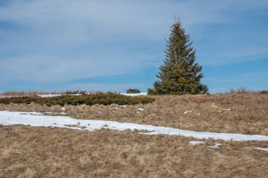 Vitosha Dağı 'nın kış manzarası, Sofya Şehir Bölgesi, Bulgaristan