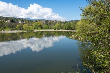 Pancharevo Gölü Bahar Manzarası, Sofya Şehir Bölgesi, Bulgaristan