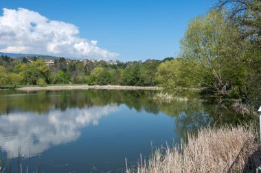Pancharevo Gölü Bahar Manzarası, Sofya Şehir Bölgesi, Bulgaristan