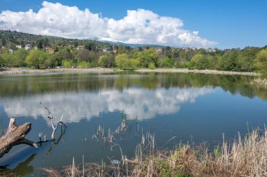 Pancharevo Gölü Bahar Manzarası, Sofya Şehir Bölgesi, Bulgaristan