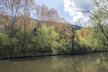 Pancharevo Gölü Bahar Manzarası, Sofya Şehir Bölgesi, Bulgaristan