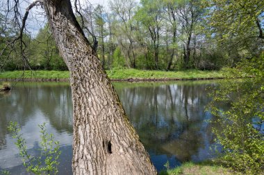 Pancharevo Gölü Bahar Manzarası, Sofya Şehir Bölgesi, Bulgaristan