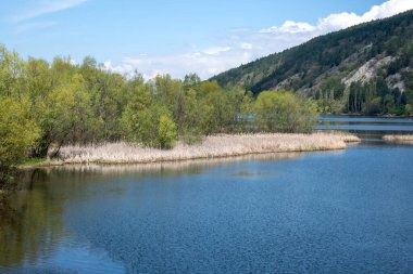 Pancharevo Gölü Bahar Manzarası, Sofya Şehir Bölgesi, Bulgaristan
