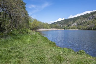 Pancharevo Gölü Bahar Manzarası, Sofya Şehir Bölgesi, Bulgaristan