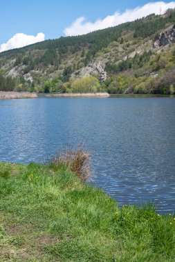 Pancharevo Gölü Bahar Manzarası, Sofya Şehir Bölgesi, Bulgaristan