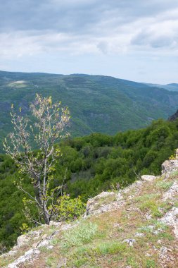 Bulgaristan 'ın Balkan Dağları' nın Bov köyü yakınlarındaki İskar boğazının inanılmaz manzarası