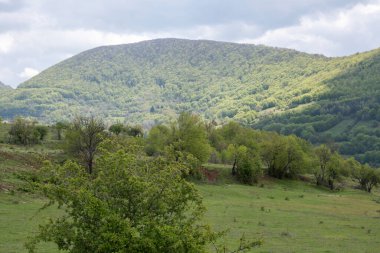 Bulgaristan 'ın Balkan Dağları' nın Bov köyü yakınlarındaki İskar boğazının inanılmaz manzarası
