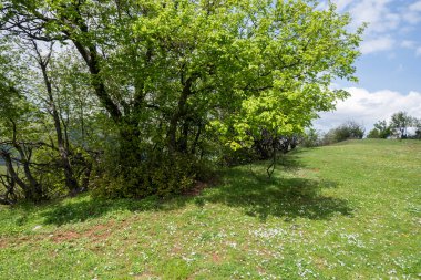 Bulgaristan 'ın Balkan Dağları' nın Bov köyü yakınlarındaki İskar boğazının inanılmaz manzarası