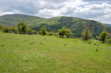 Bulgaristan 'ın Balkan Dağları' nın Bov köyü yakınlarındaki İskar boğazının inanılmaz manzarası
