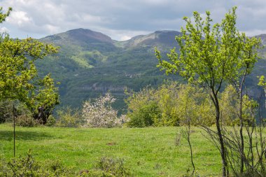 Bulgaristan 'ın Balkan Dağları' nın Bov köyü yakınlarındaki İskar boğazının inanılmaz manzarası