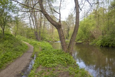 Bulgaristan 'ın başkenti Sofya' nın Pancharevo Gölü yakınlarındaki Iskar Nehri 'nin Bahar Manzarası