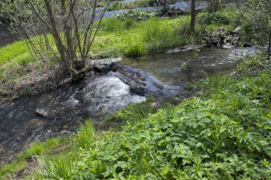 Bulgaristan 'ın başkenti Sofya' nın Pancharevo Gölü yakınlarındaki Iskar Nehri 'nin Bahar Manzarası