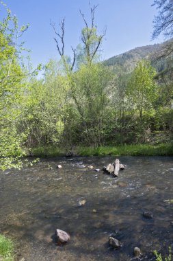 Bulgaristan 'ın başkenti Sofya' nın Pancharevo Gölü yakınlarındaki Iskar Nehri 'nin Bahar Manzarası