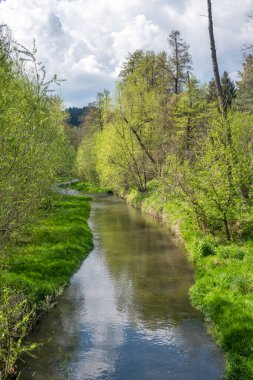 Bulgaristan 'ın başkenti Sofya' nın Pancharevo Gölü yakınlarındaki Iskar Nehri 'nin Bahar Manzarası