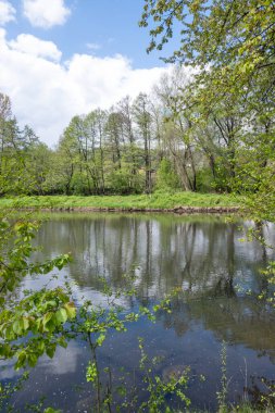 Bulgaristan 'ın başkenti Sofya' nın Pancharevo Gölü yakınlarındaki Iskar Nehri 'nin Bahar Manzarası