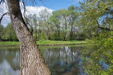 Bulgaristan 'ın başkenti Sofya' nın Pancharevo Gölü yakınlarındaki Iskar Nehri 'nin Bahar Manzarası