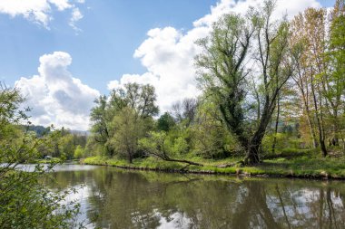 Bulgaristan 'ın başkenti Sofya' nın Pancharevo Gölü yakınlarındaki Iskar Nehri 'nin Bahar Manzarası