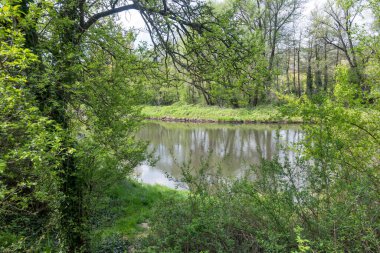 Bulgaristan 'ın başkenti Sofya' nın Pancharevo Gölü yakınlarındaki Iskar Nehri 'nin Bahar Manzarası