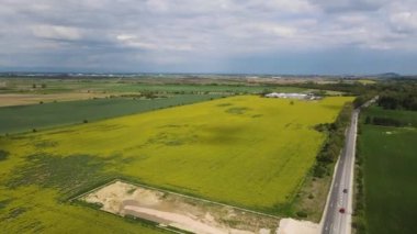 Bulgaristan 'ın Filibe Bölgesi' nin Kostievo köyü yakınlarındaki Blooming tecavüz tarlasının hava manzarası
