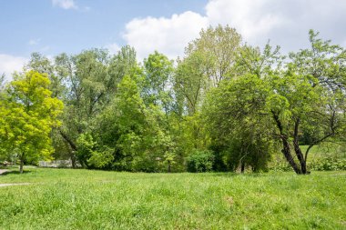 Bulgaristan 'ın Sofya kentindeki South Park' ın şaşırtıcı bahar manzarası