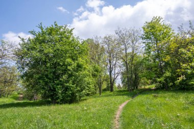 Bulgaristan 'ın Sofya kentindeki South Park' ın şaşırtıcı bahar manzarası