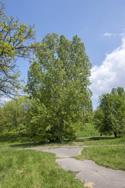 Bulgaristan 'ın Sofya kentindeki South Park' ın şaşırtıcı bahar manzarası