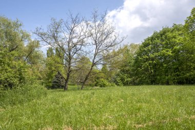 Bulgaristan 'ın Sofya kentindeki South Park' ın şaşırtıcı bahar manzarası