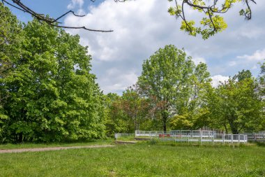 Bulgaristan 'ın Sofya kentindeki South Park' ın şaşırtıcı bahar manzarası